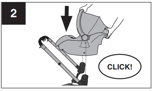 Evenflo Pivot Xpand Modular Stroller - Car Seats2