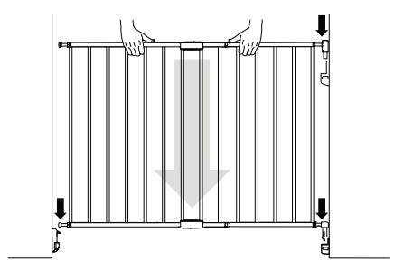 munchkin Extending Metal Push to position