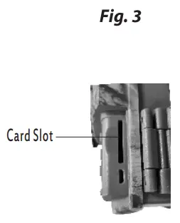 Insertion de la carte SD