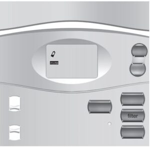 ICÔNES ET CARACTÉRISTIQUES FIG 1