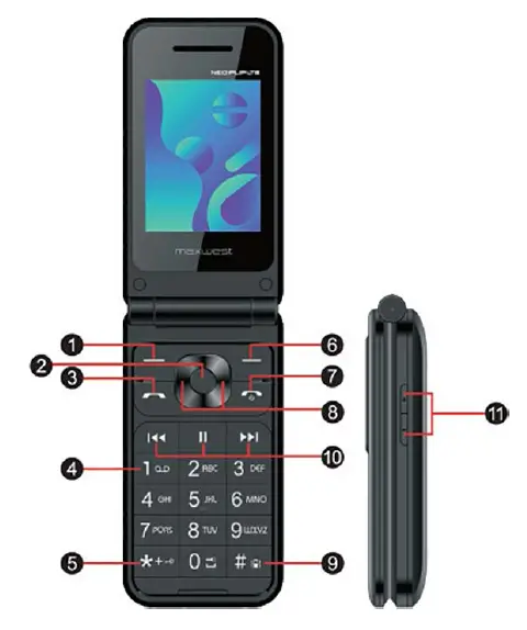 DISPOSITIF LAYOUT