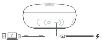 Connexions