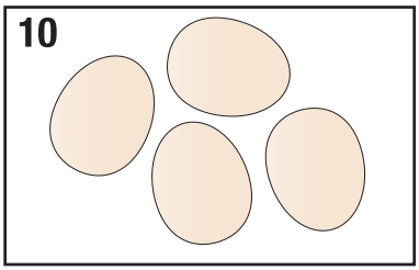 Eggpod-7071-Cuiseur d'œufs-Sans-fil-Micro-ondes-fig-11