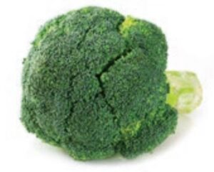 BROCCOLI