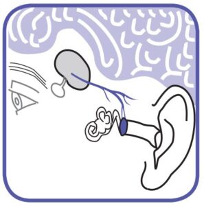 FIG 5 Pourquoi mesurer dans l'oreille ?