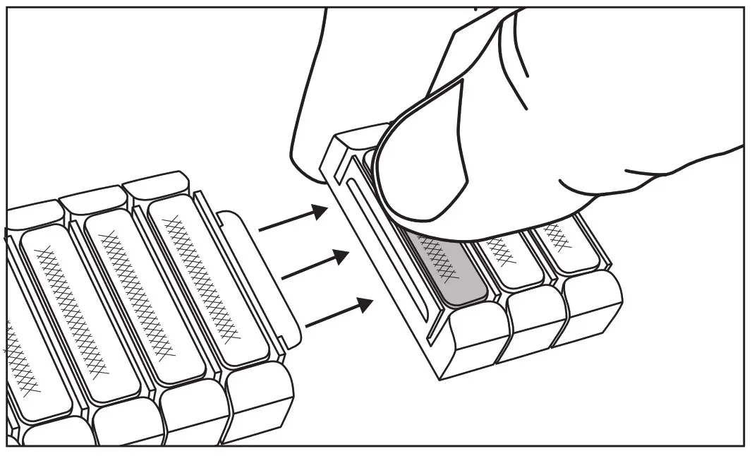 Bande d'extension TIMEX Perfect Fit-2