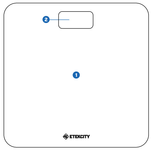 Pèse-personne numérique ETEKCITY - Fonctions principales