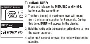 FIG 30 Pour activer BURP