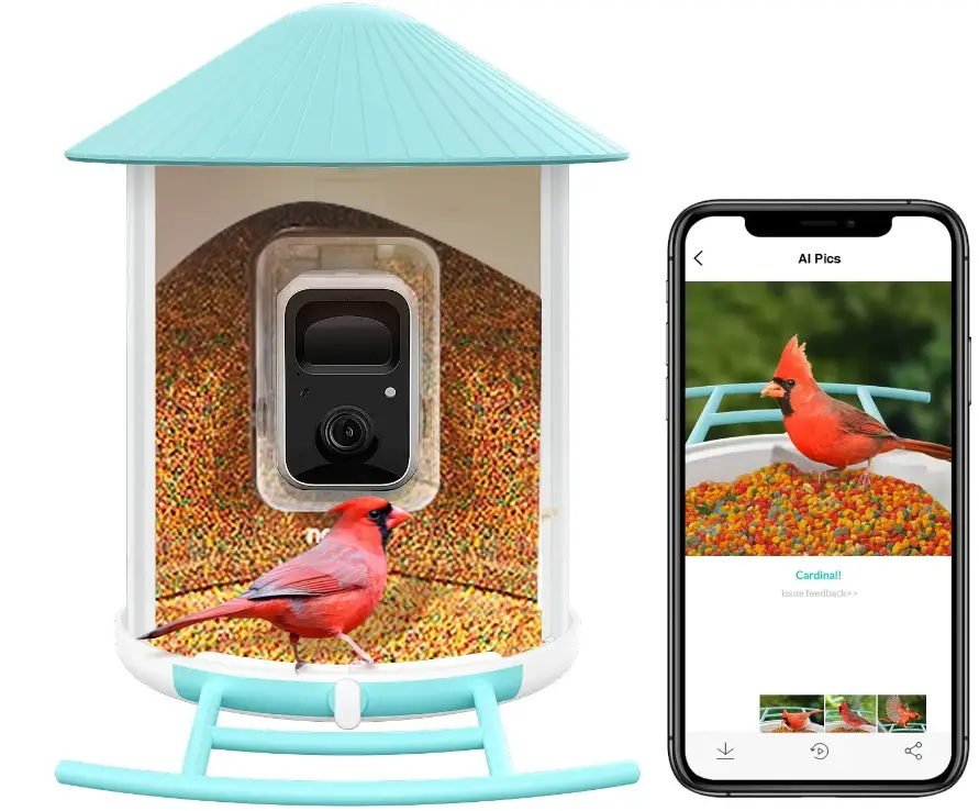 netvue Birdfy Smart AI Bird Feeder Camera-PRODUCT