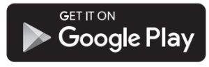 Icône de la boutique Google