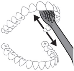 Instructions de brossage