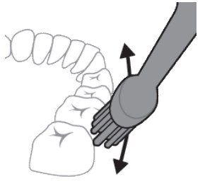 Instructions de brossage