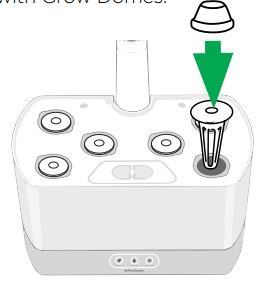 Guide de l'utilisateur de l'AeroGarden Harvest - gousses de semences dans les ouvertures